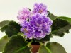 20180822_233534.jpg