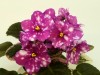 20200912_230307.jpg